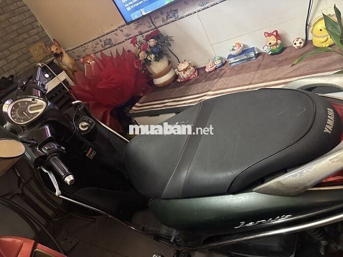 Yamaha Janus Xanh rêu Nữ