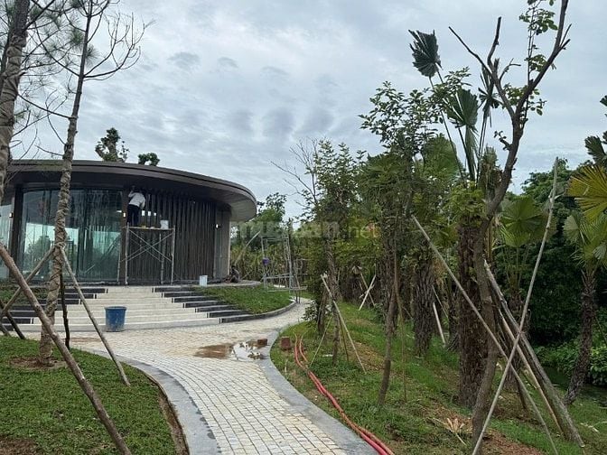 Chính Thức Có Giá Rumor SH8 dự án Times Riverside Tuyên Quang