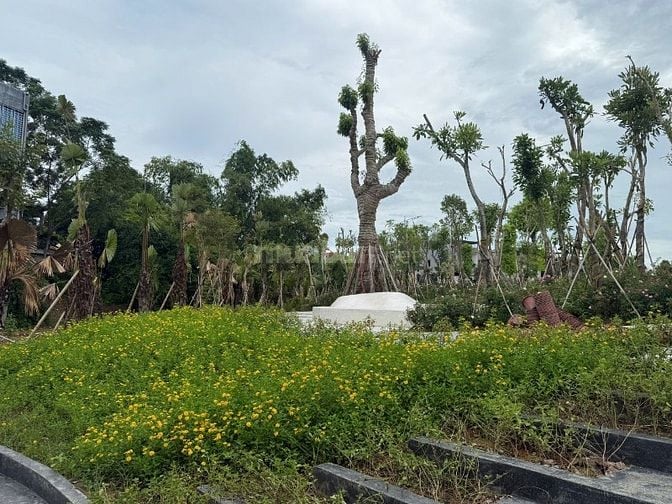 Chính Thức Có Giá Rumor SH8 dự án Times Riverside Tuyên Quang