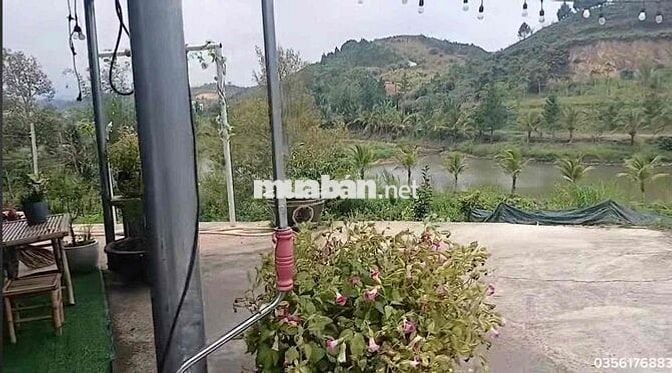 Cho Thuê nhà Nghỉ Dưỡng P3 Tp Bảo Lộc