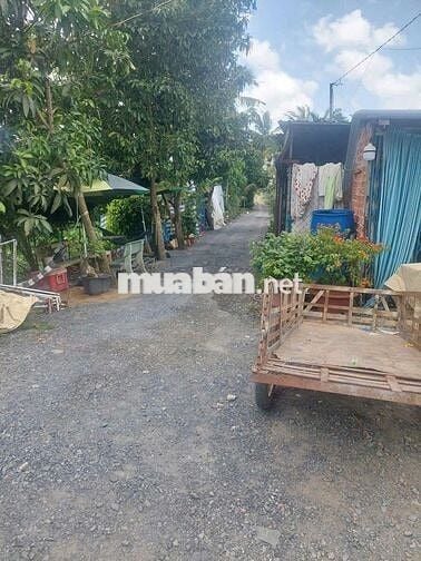 Chính chủ bán đất Trương Văn Đa, Bình Chánh