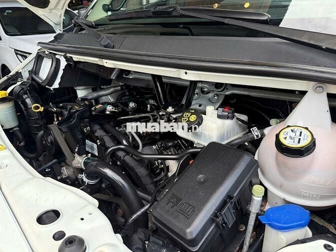 Ford Transit Luxury 2019 Trắng