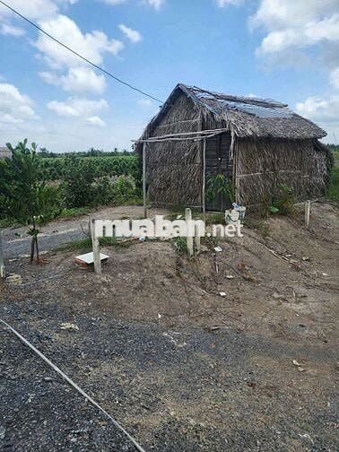 Chính chủ bán đất Trương Văn Đa, Bình Chánh