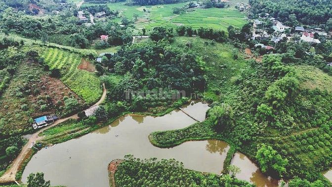 Bán gấp 7000m có 3000m thổ cư, bám hồ gần đường lớn