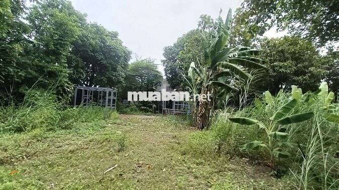 Đất 4000m , 2000 thổ cư , ngay bệnh viện Nhi Đồng 3 