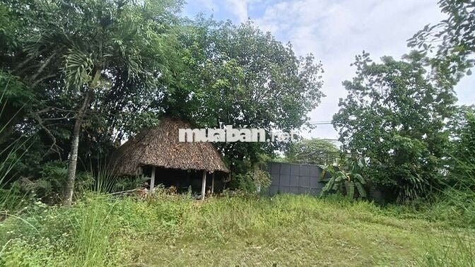 Đất 4000m , 2000 thổ cư , ngay bệnh viện Nhi Đồng 3 