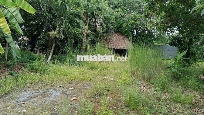 Đất 4000m , 2000 thổ cư , ngay bệnh viện Nhi Đồng 3 