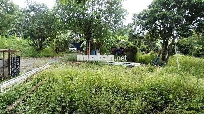 Đất 4000m , 2000 thổ cư , ngay bệnh viện Nhi Đồng 3 