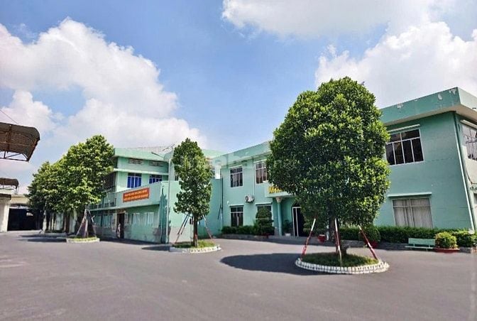 Kho mặt tiền Trần Văn Dư, Tân Bình 2.500m², trệt lầu rộng
