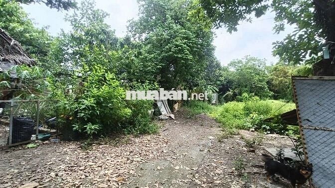 Đất 4000m , 2000 thổ cư , ngay bệnh viện Nhi Đồng 3 