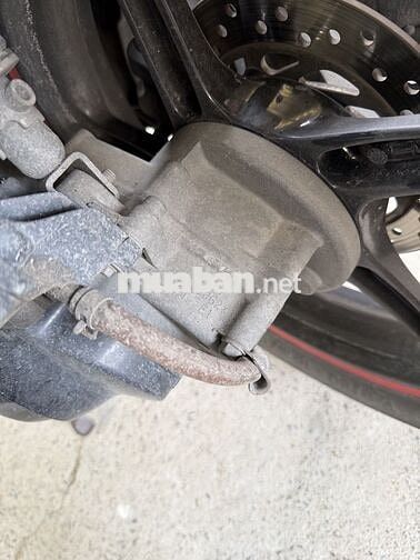 Honda SH 125 2011 Trắng Ý