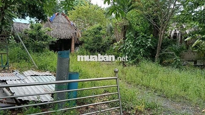 Đất 4000m , 2000 thổ cư , ngay bệnh viện Nhi Đồng 3 