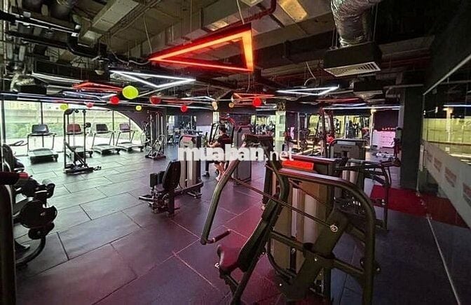 CĐT bán 39 độc quyền chỉ 250tr sở hữu ngay, trả góp 8tr/tháng