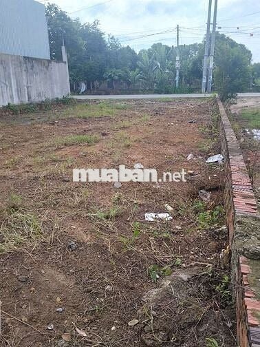 Bán đất mặt tiền đường nhựa 8 m