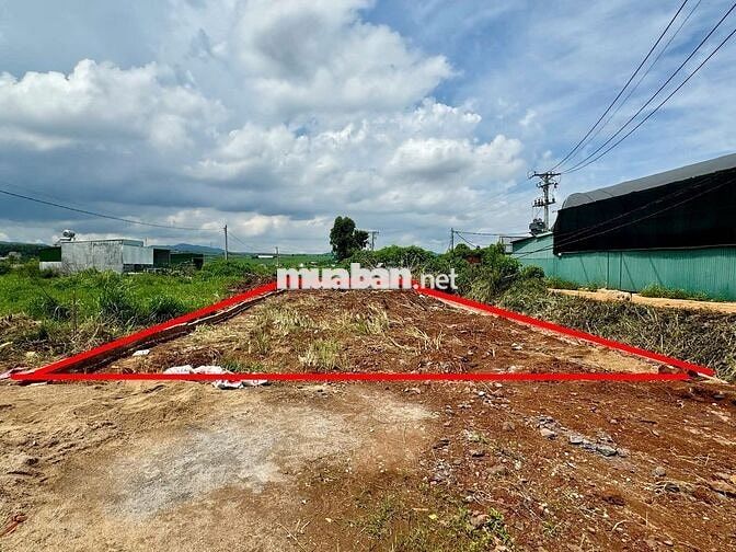 Bán đất đường Bồng lai. Cầu tu tra Dt : 240m có 100Tc. Giá 900tt