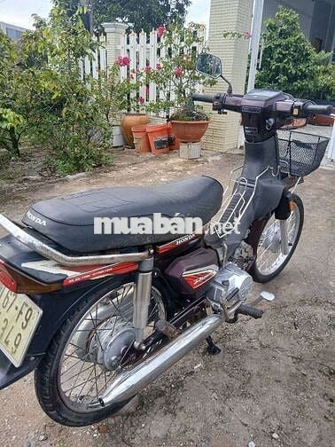 Honda Dream nâu