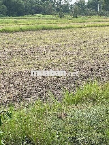 MẶT TIỀN NGUYỄN THỊ LY. HÓC MÔN. TPHCM