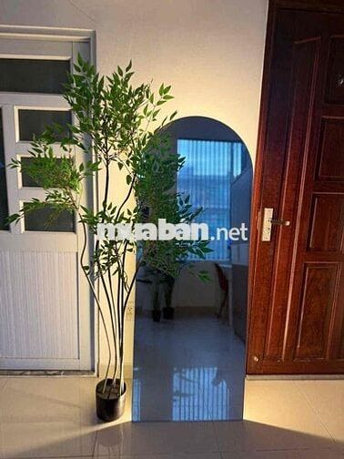 Studio thang máy full nội thất Ngay Cầu Nguyễn Văn Cừ, ĐH Sư Phạm SGU