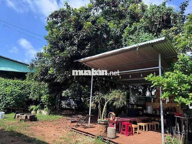 CẦN BÁN 8.010m² ĐẤT CÓ 300m² THỔ CƯ – TP. LONG KHÁNH, ĐỒNG NAI