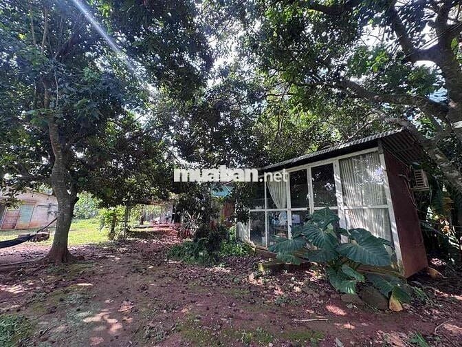 CẦN BÁN 8.010m² ĐẤT CÓ 300m² THỔ CƯ – TP. LONG KHÁNH, ĐỒNG NAI