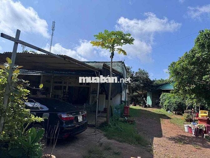 CẦN BÁN 8.010m² ĐẤT CÓ 300m² THỔ CƯ – TP. LONG KHÁNH, ĐỒNG NAI