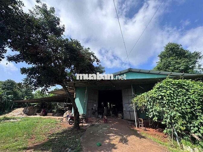 CẦN BÁN 8.010m² ĐẤT CÓ 300m² THỔ CƯ – TP. LONG KHÁNH, ĐỒNG NAI