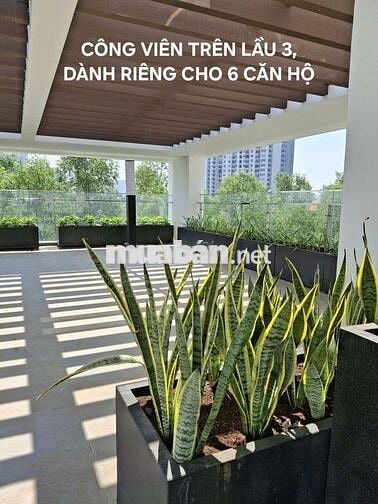CHO THUÊ CĂN HỘ PANOMAX RIVER VILLA  – ĐÀO TRÍ –  37 TRIỆU 