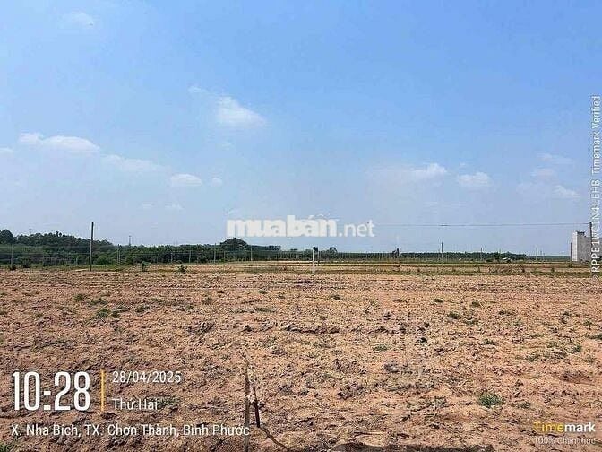 BÁN ĐẤT THỔ CƯ MẶT TIỀN  – CHƠN THÀNH, BÌNH PHƯỚC