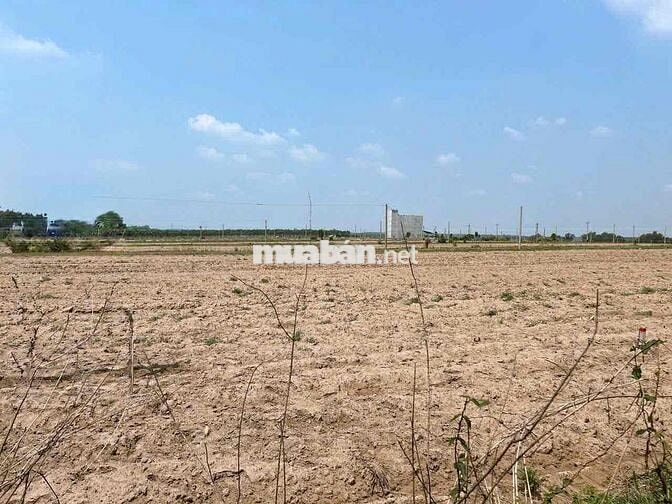 BÁN ĐẤT THỔ CƯ MẶT TIỀN  – CHƠN THÀNH, BÌNH PHƯỚC