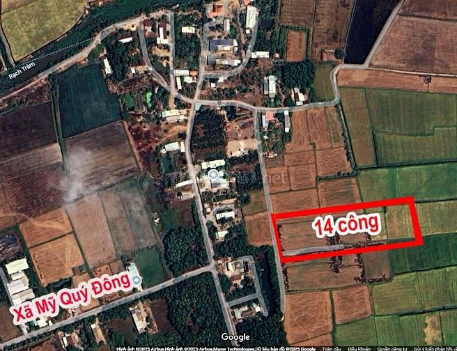 ĐẤT LÚA GẦN UB XÃ MỸ QUÝ ĐÔNG, 14 công