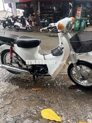 hon da cup trang