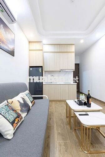 CHO THUÊ CĂN HỘ 1N1K THOÁNG NẰM NGAY MẶT ĐƯỜNG LỚN LẠC LONG QUÂN