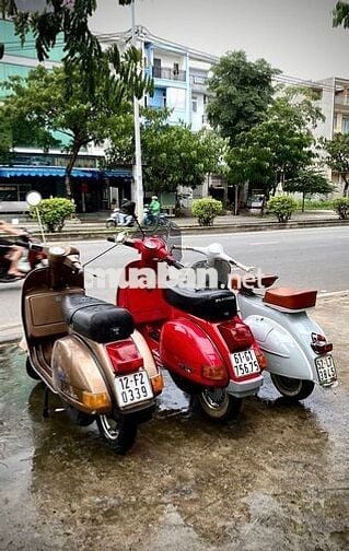 Vespa PX, Vespa Standard, Vespa cổ cần bán