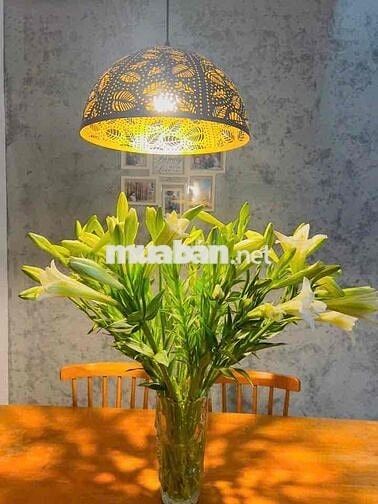 🏡 CHO THUÊ NHÀ NGUYÊN CĂN – KHU NAM VIỆT Á, ĐÀ NẴNG