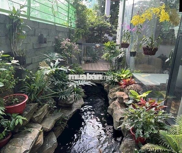 Kẹt tiền cần bán gấp Biệt thự tâm huyết