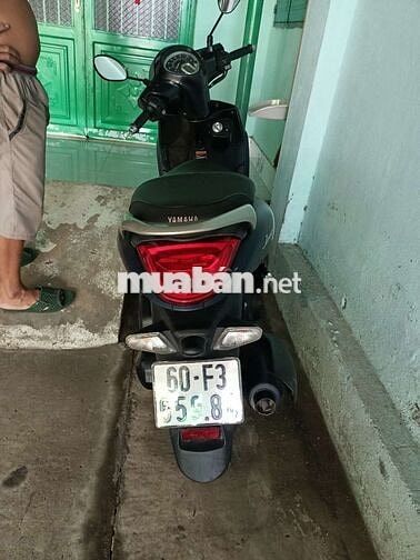 Yamaha Janus Đen Xăng