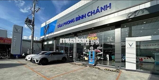 Nhân Viên Kinh Doanh bán Xe Ô tô Vinfats