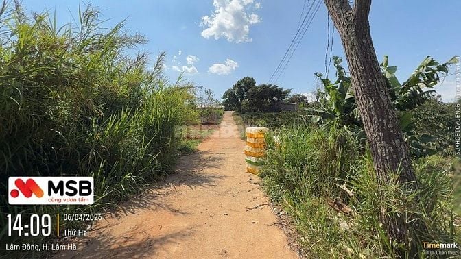Công ty đấu giá hợp danh Sao Việt 