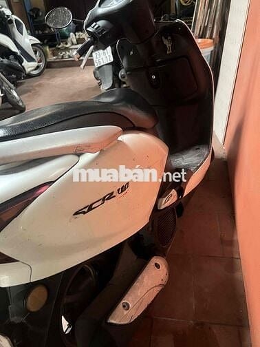Honda SCR Trắng