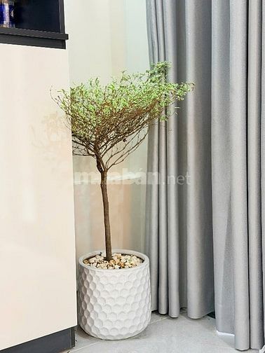 Bán nhà mới đẹp Full Nội Thất. Lê Đại Hành, Q11 