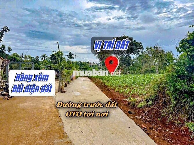 Lô đất đẹp chính chủ, tiềm năng tăng giá cao
