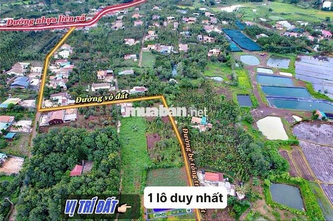 Lô đất đẹp chính chủ, tiềm năng tăng giá cao