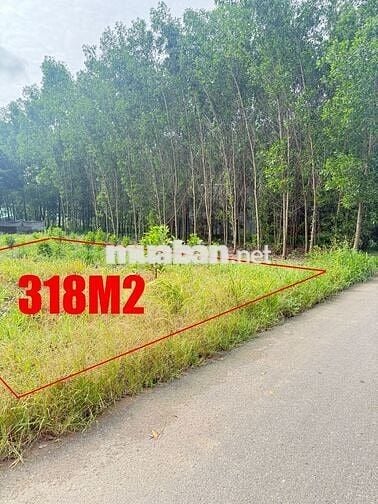 ĐẤT RỘNG 318m² TẠI AN VIỄN - TRẢNG BOM