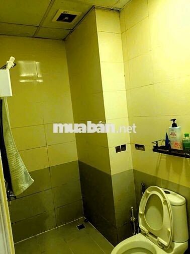 Cho thuê căn hộ Chung Cư Linh Tây 67m² 2PN full nội thất tầng thấp đẹp