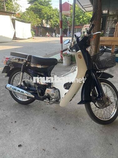 Honda Cup 50CC Trắng Xanh