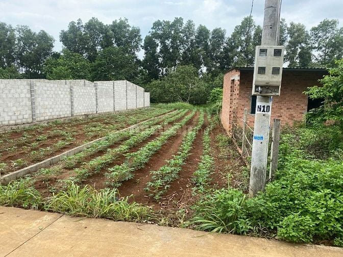 Công ty đấu giá hợp danh Sao Việt 