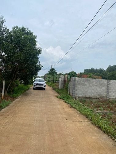 Công ty đấu giá hợp danh Sao Việt 