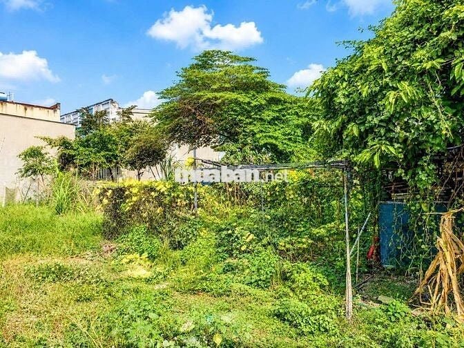 Đất nền SHR 1/Xuân Thới Thượng 32-Hóc Môn.Dt 10x31~308m2~8,3ty
