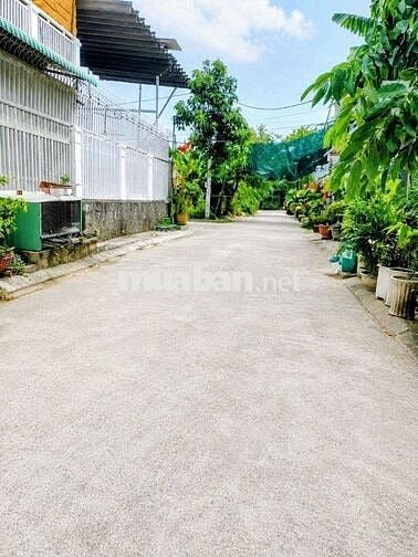Đất nền SHR 1/Xuân Thới Thượng 32-Hóc Môn.Dt 10x31~308m2~8,3ty
