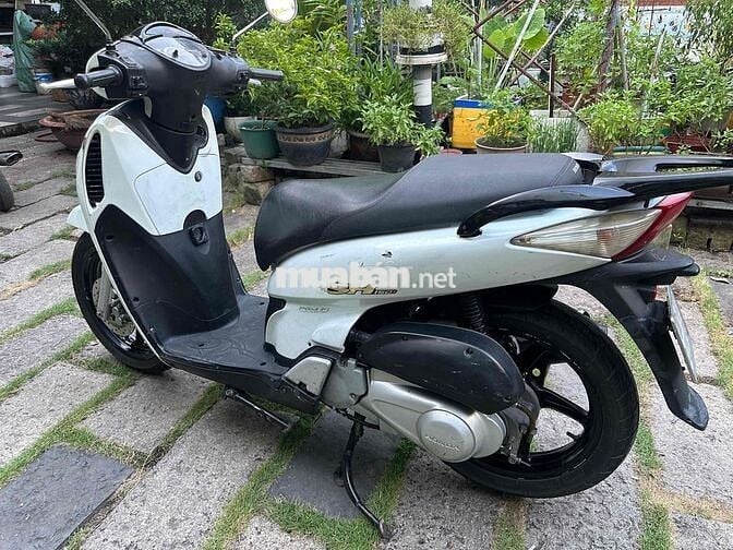 Honda SH 150i 2009 Trắng Ý